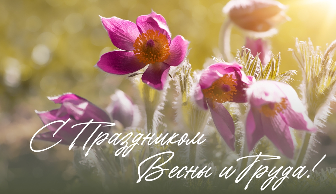 Поздравление директора АО&nbsp;«Татэнергосбыт» Рифнура Сулейманова с Праздником Весны и Труда!